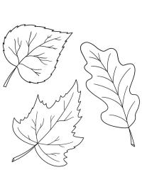 3 foglie d'autunno