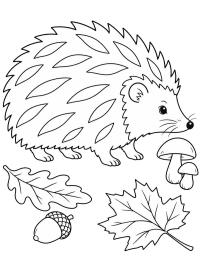 Riccio in autunno