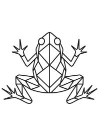 Rana geometrica