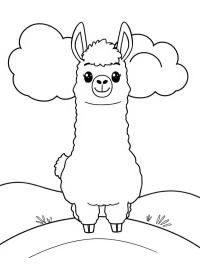 Alpaca simpatico