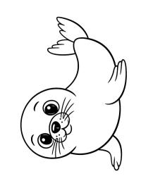 Foca