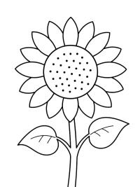 Girasole per bambini