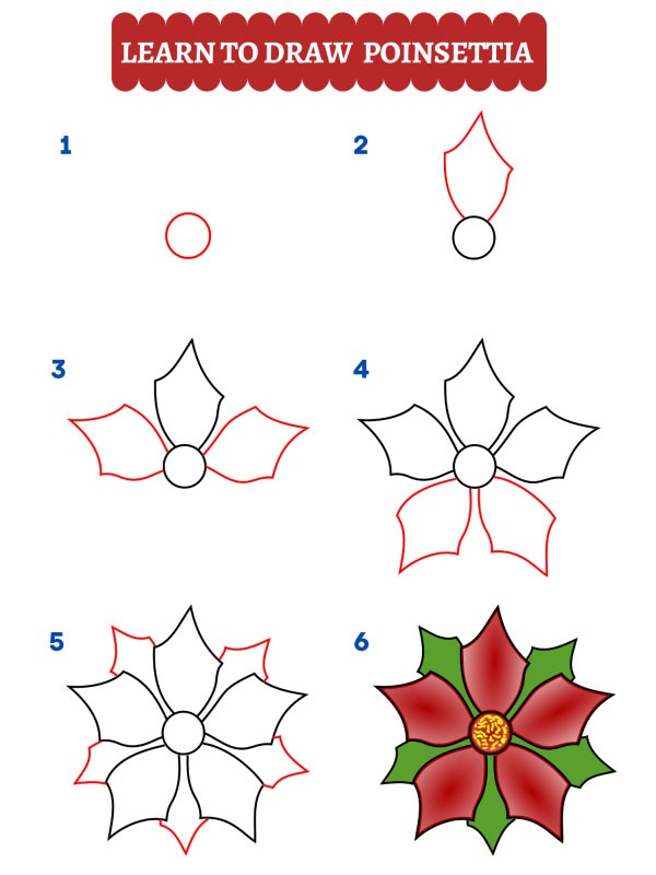 Come disegnare una stella di Natale