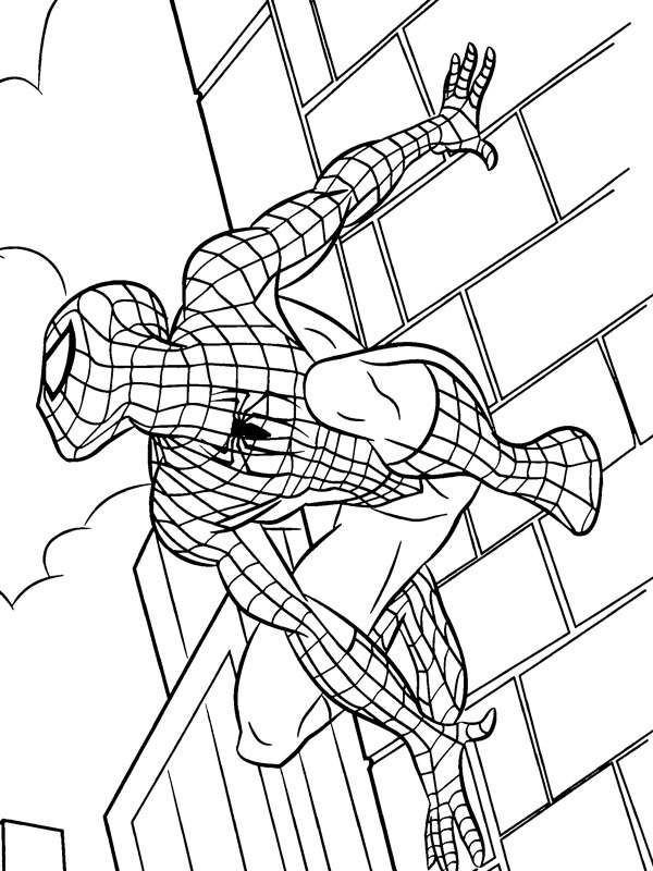 Spiderman si arrampica su un edificio disegno da colorare