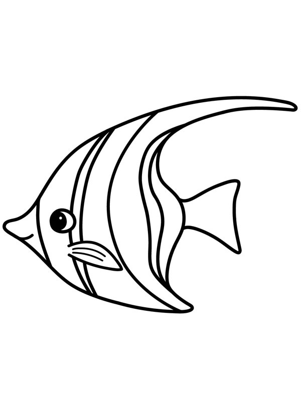 Pesce angelo disegno da colorare