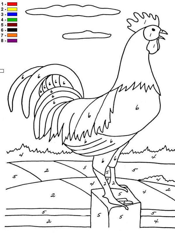 Pollo - Colora i numeri disegno da colorare