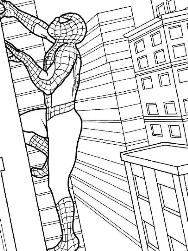 Spiderman si arrampica sull'edificio disegno da colorare